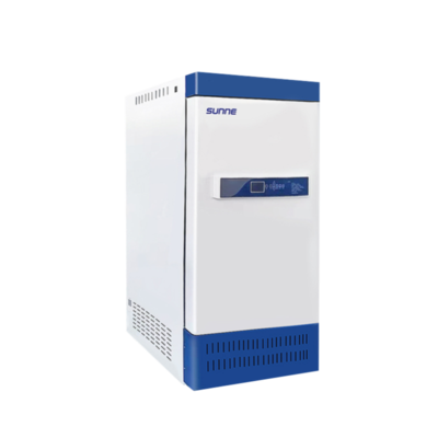 RGX系列人工气候培养箱